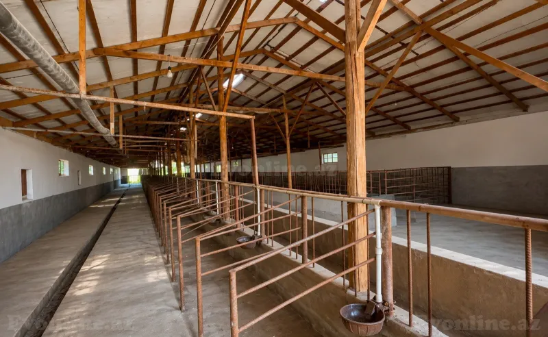 Satılır Obyekt 7000 m² Salyan