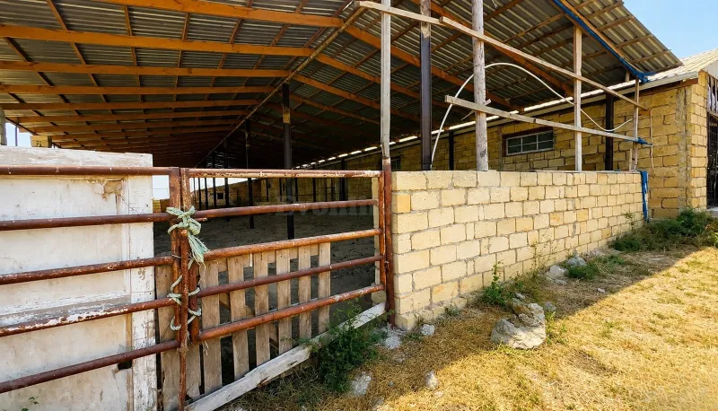 Satılır Obyekt 7000 m² Salyan - şəkil 3