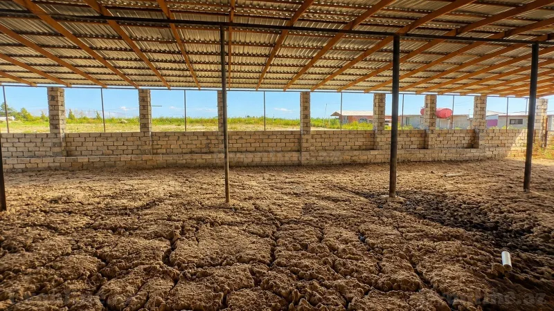 Satılır Obyekt 7000 m² Salyan - şəkil 4