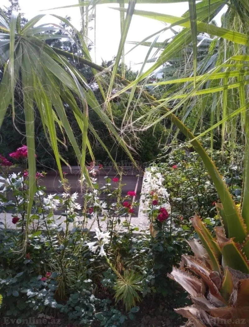 Satılır 14 otaqlı Həyət evi 630 m² Novxanı - şəkil 7
