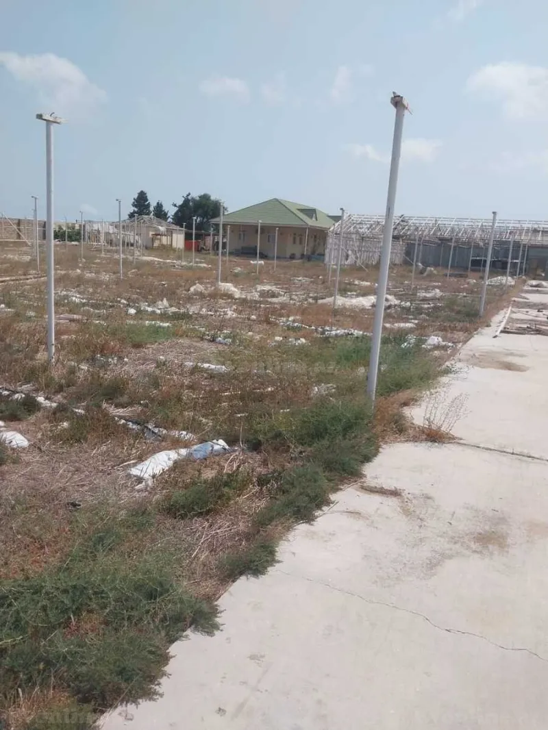Satılır Torpaq 130 sot Buzovna - şəkil 3