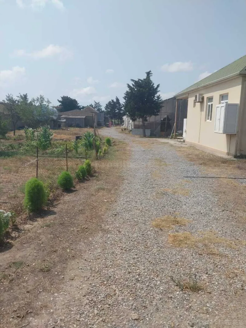 Satılır Torpaq 130 sot Buzovna - şəkil 4