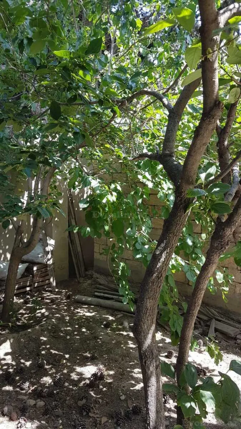 Kirayə verilir 5 otaqlı Həyət evi 200 m² Əhmədli m. - şəkil 22