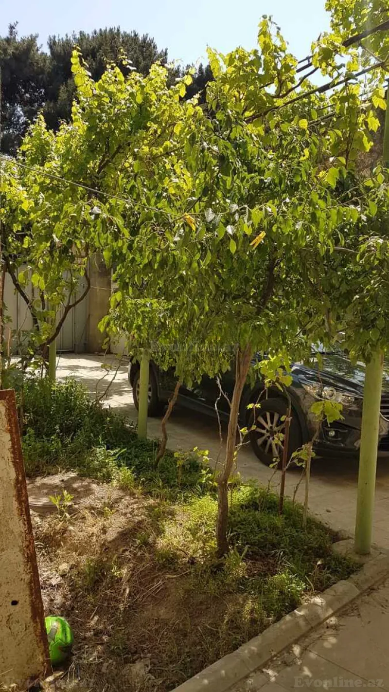 Kirayə verilir 5 otaqlı Həyət evi 200 m² Əhmədli m. - şəkil 23