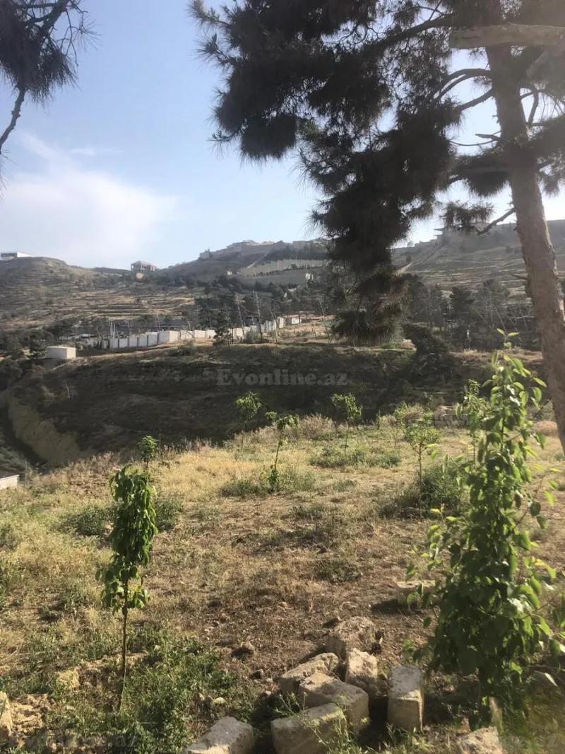 Satılır Torpaq 38 sot Badamdar - şəkil 4