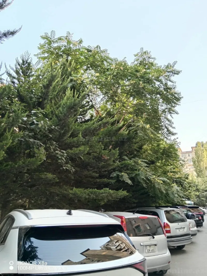 Satılır 2 otaqlı Mənzil Köhnə tikili 60 m² Yasamal r. - şəkil 19