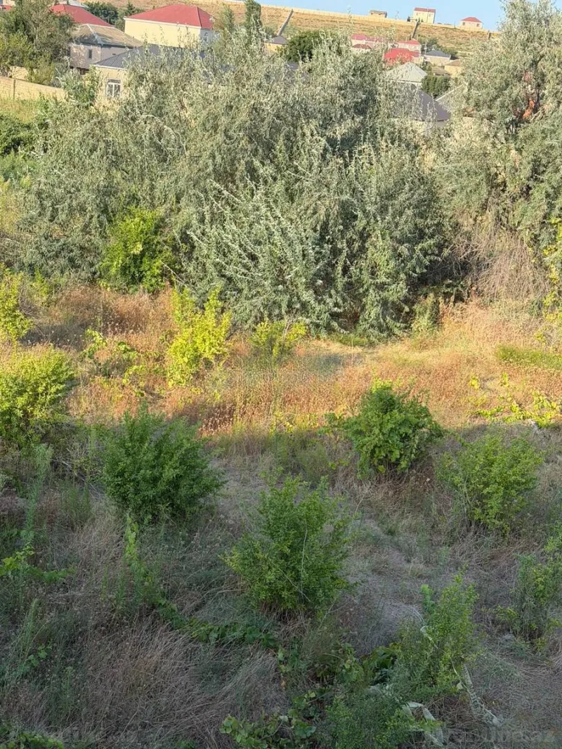 Satılır Torpaq 10 sot Sumqayıt