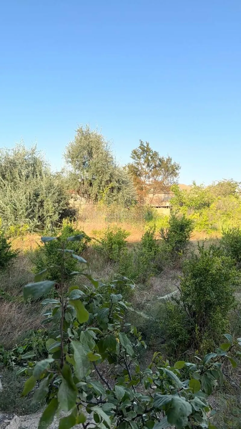 Satılır Torpaq 10 sot Sumqayıt - şəkil 2