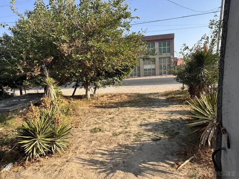 Satılır Torpaq 12 sot Saray - şəkil 4