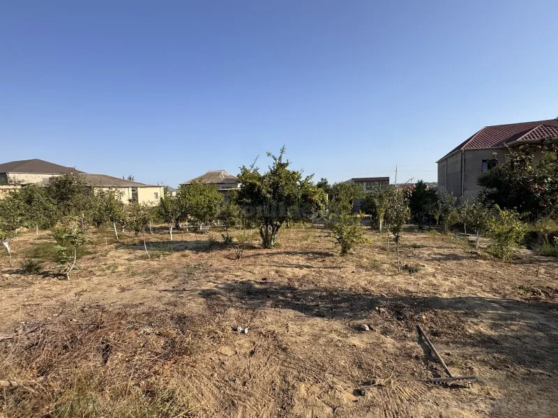 Satılır Torpaq 12 sot Saray - şəkil 6