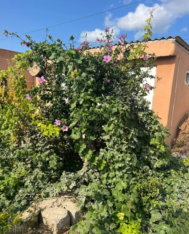 Kirayə verilir 3 otaqlı Həyət evi 100 m² Dübəndi - şəkil 13