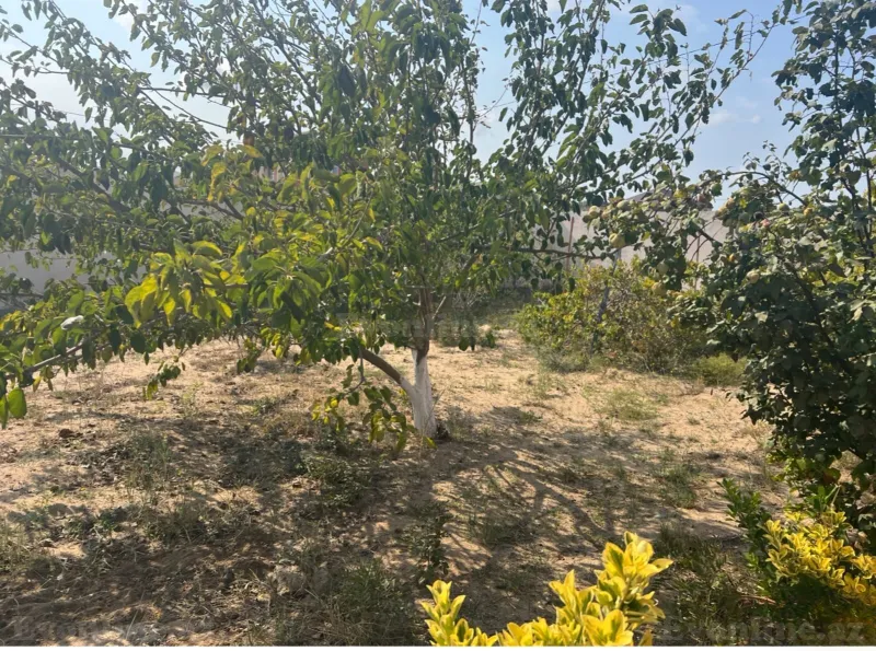 Kirayə verilir 3 otaqlı Həyət evi 100 m² Dübəndi - şəkil 15