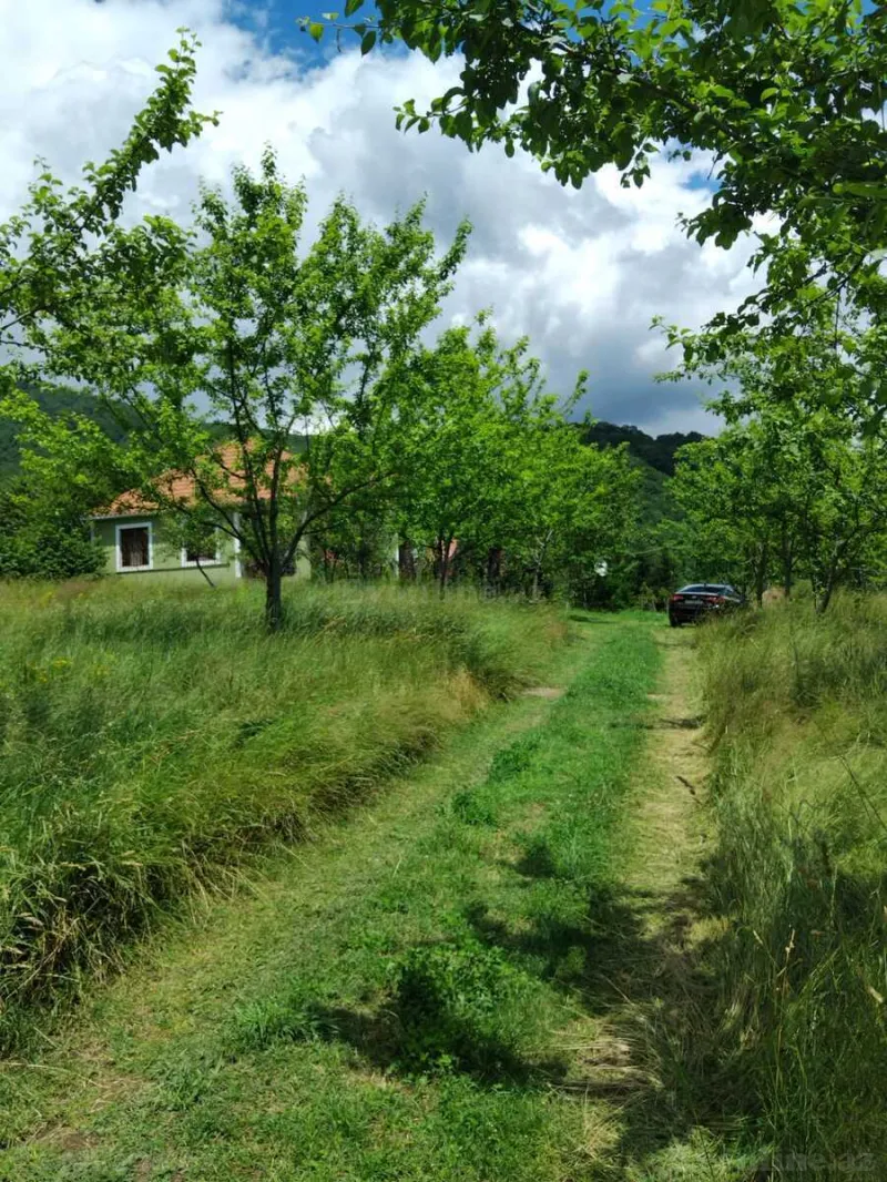 3 otaqlı Həyət evi 100 m² İsmayıllı Kirayə verilir