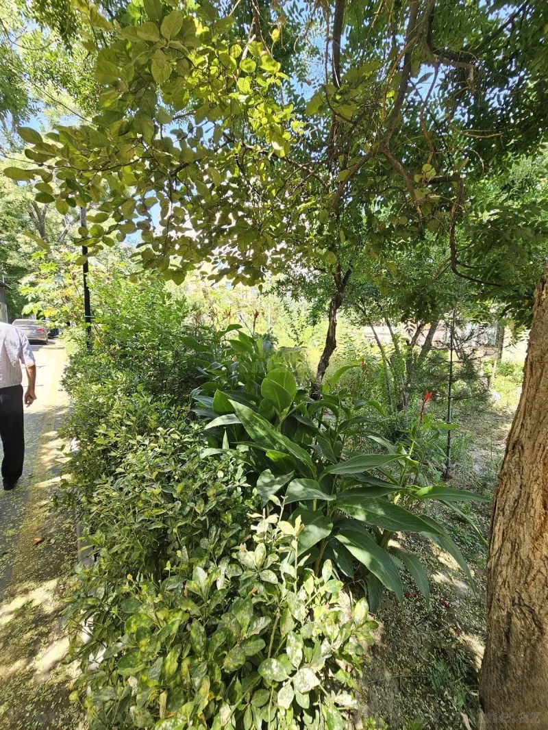 Satılır 3 otaqlı Mənzil Köhnə tikili 75 m² 7-ci mikrorayon - şəkil 5