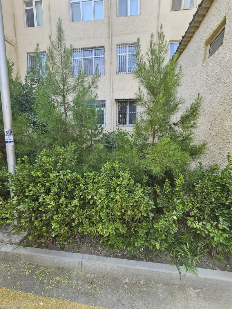 Satılır 3 otaqlı Mənzil Köhnə tikili 75 m² 7-ci mikrorayon - şəkil 6