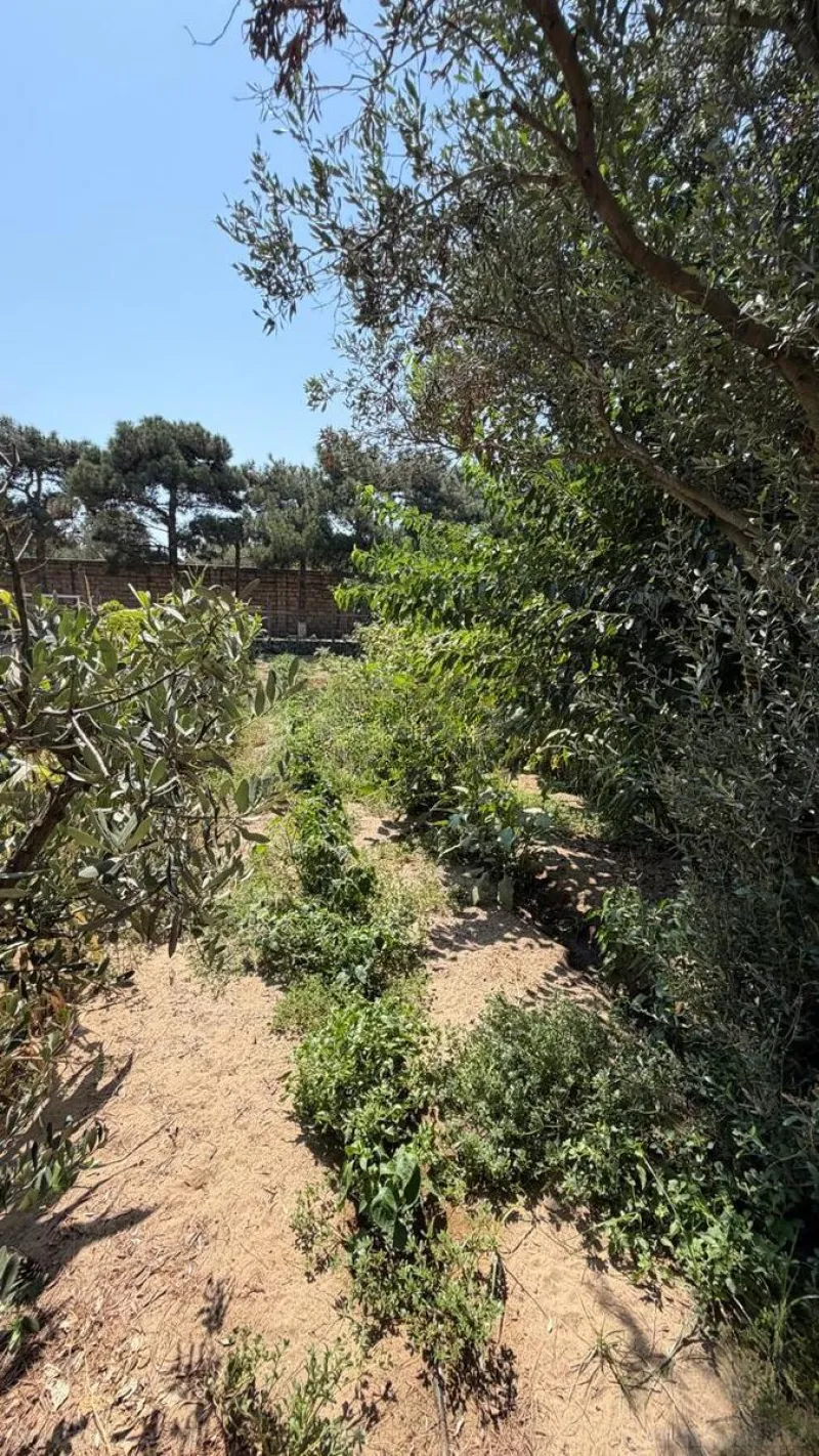 Satılır 7 otaqlı Həyət evi 200 m² Şüvəlan - şəkil 26