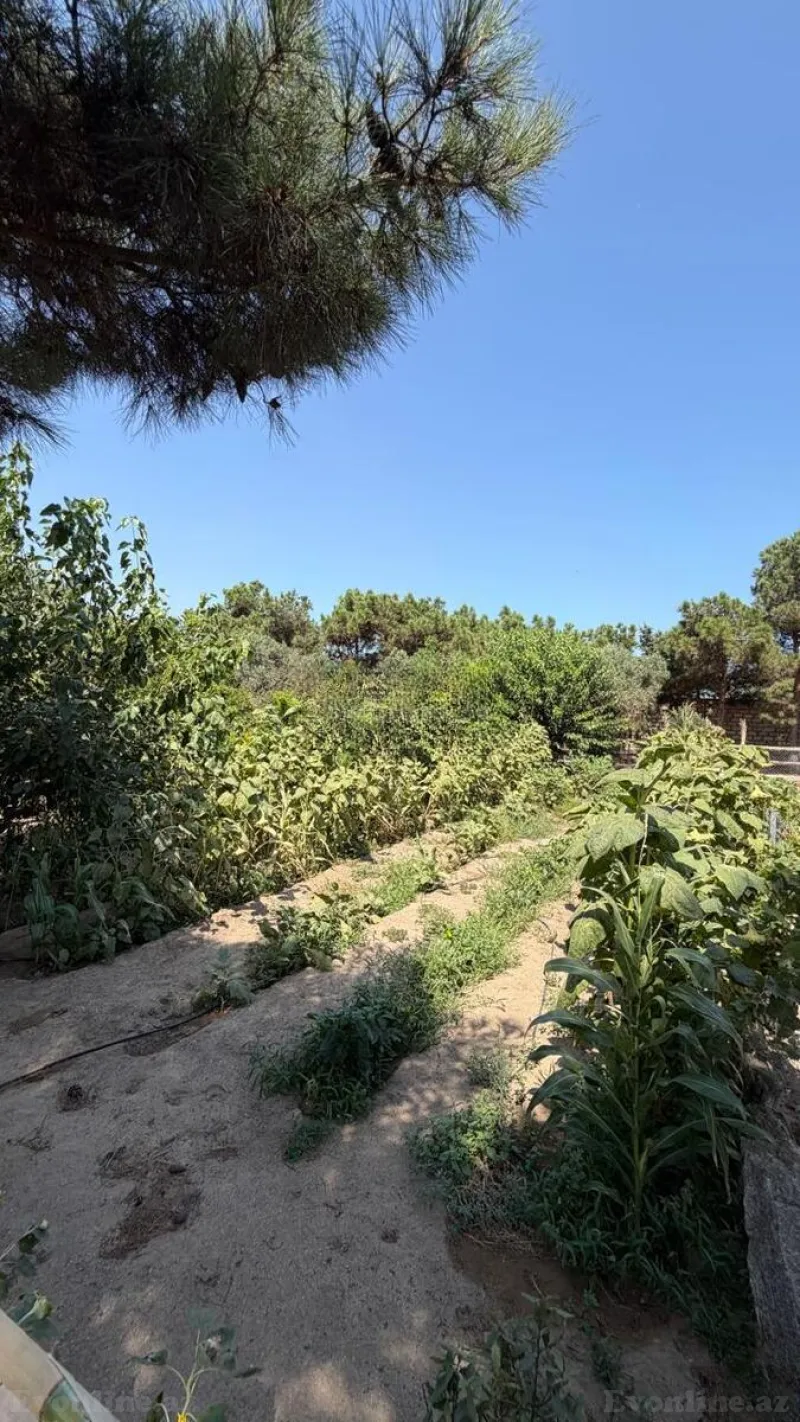 Satılır 7 otaqlı Həyət evi 200 m² Şüvəlan - şəkil 28