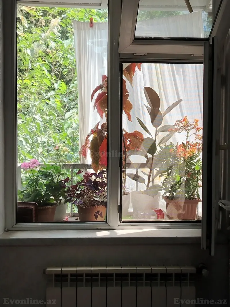 Satılır 3 otaqlı Mənzil Köhnə tikili 50 m² 1-ci mikrorayon - şəkil 18