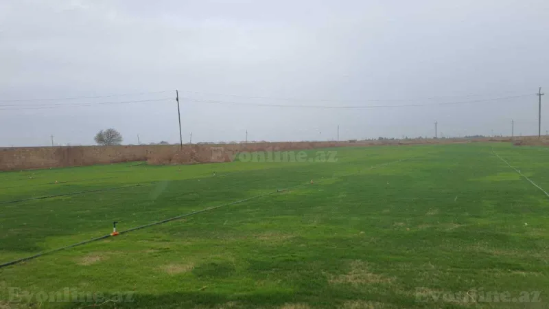 Satılır Torpaq 200 sot Qala - şəkil 2