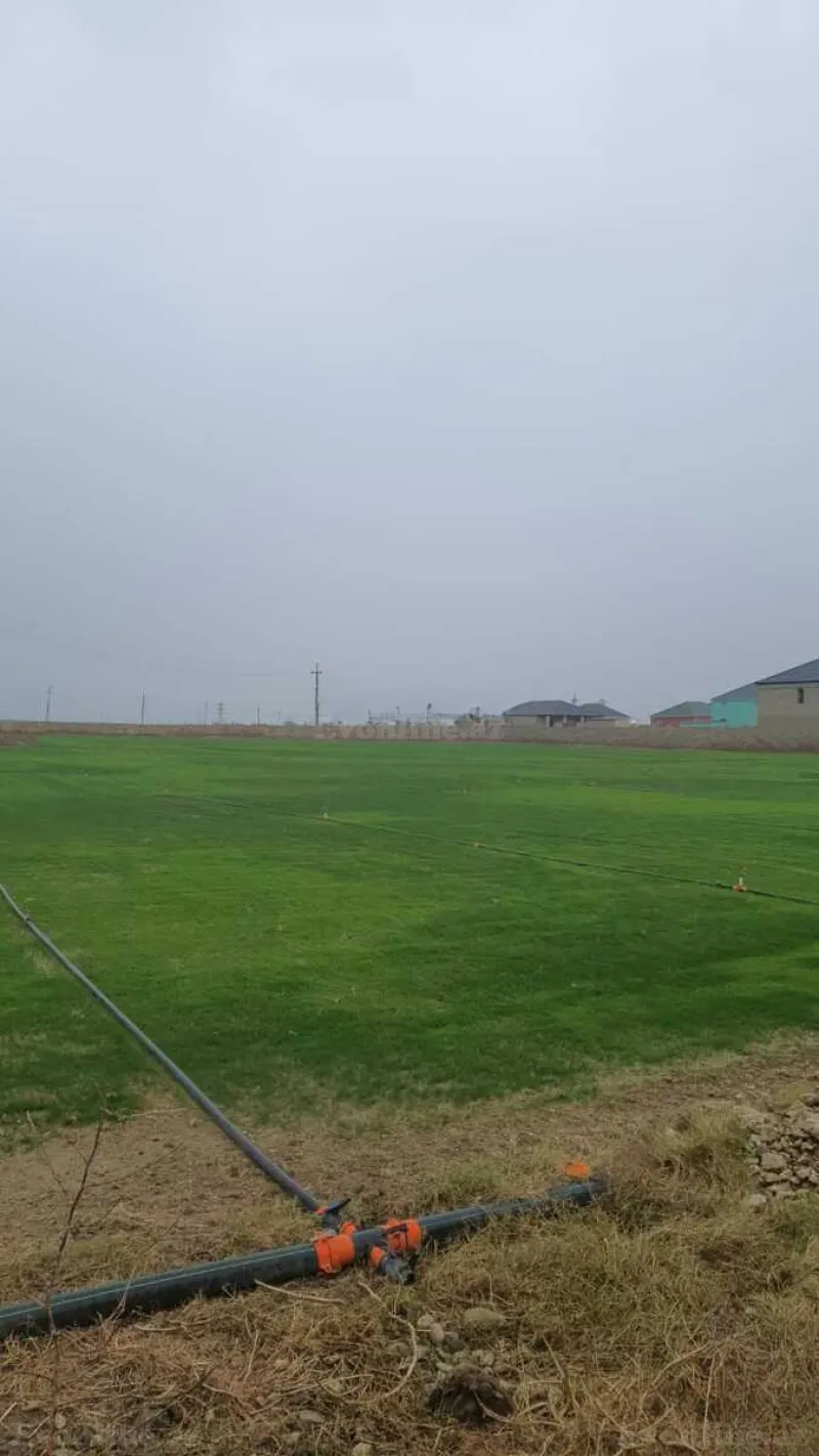Satılır Torpaq 200 sot Qala - şəkil 3