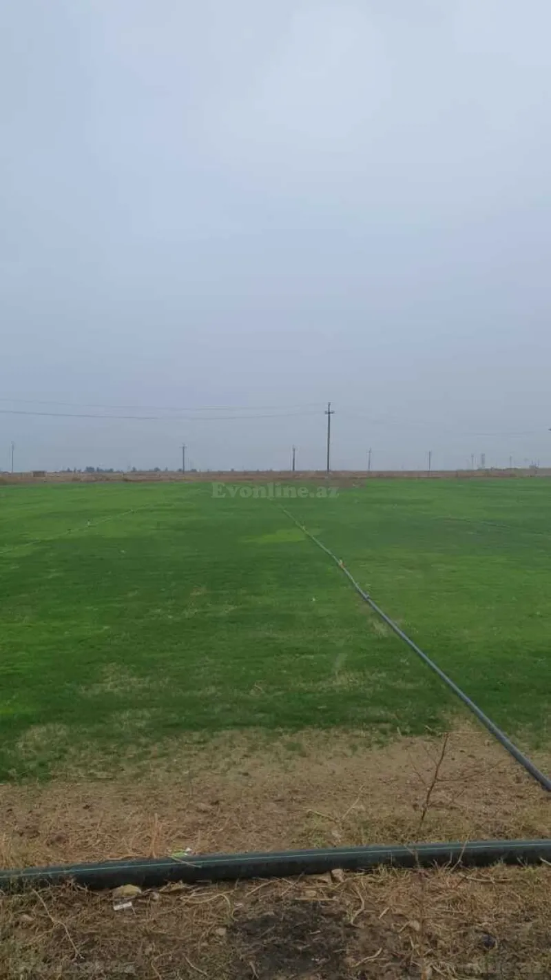 Satılır Torpaq 200 sot Qala - şəkil 4