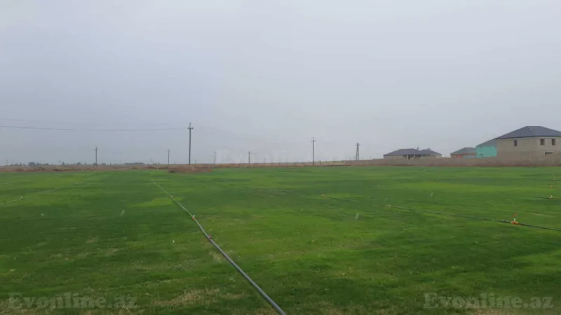 Satılır Torpaq 200 sot Qala - şəkil 5