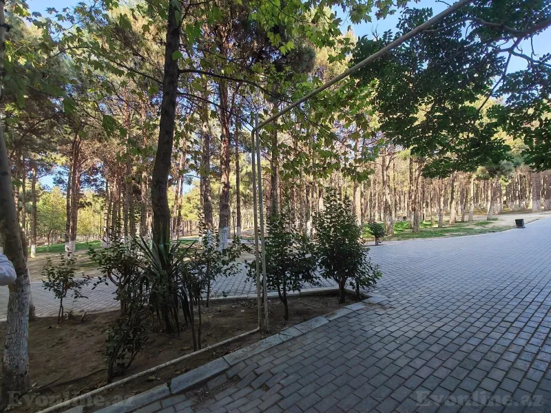 Obyekt 23 m² Xırdalan Kirayə verilir