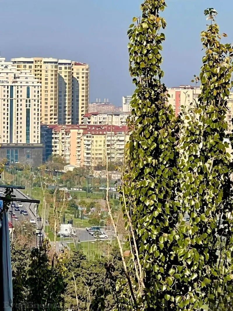 Kirayə verilir 2 otaqlı Mənzil Köhnə tikili 52 m² Səbail r. - şəkil 10