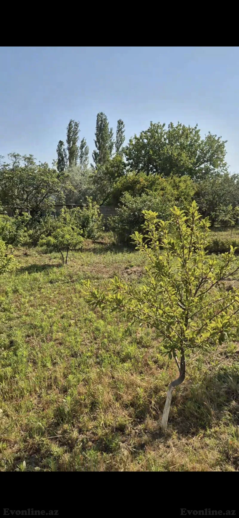 Satılır 4 otaqlı Həyət evi 120 m² Fatmayı - şəkil 7