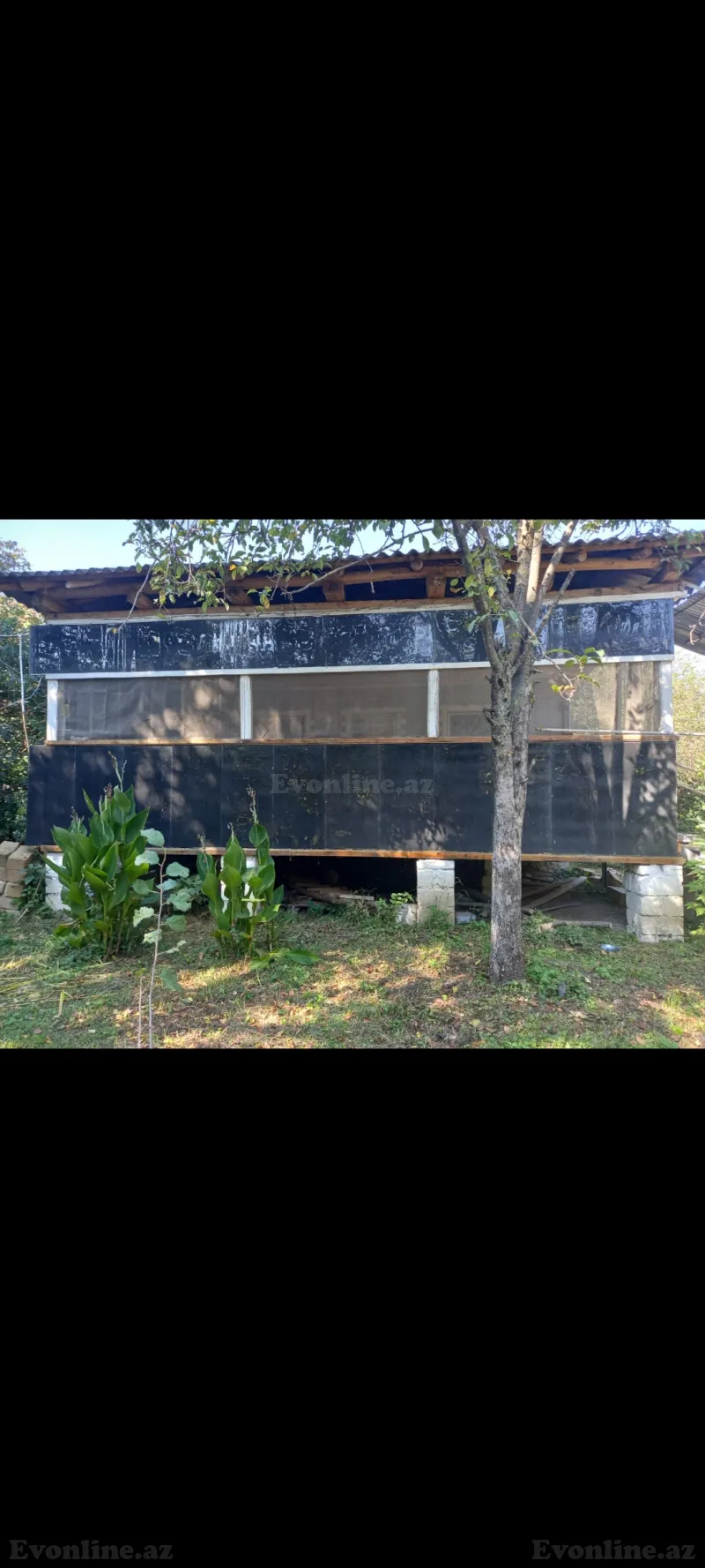 Satılır 2 otaqlı Həyət evi 60 m² Qax - şəkil 4
