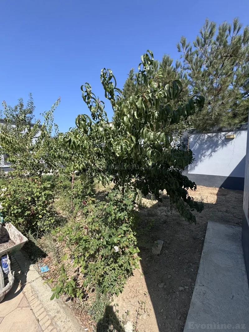 Satılır 4 otaqlı Həyət evi 120 m² Novxanı - şəkil 20
