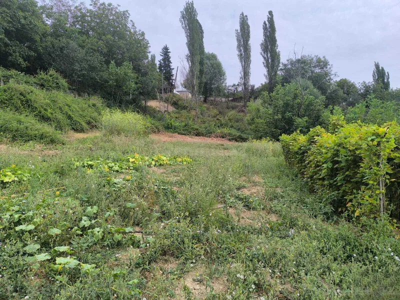 Satılır Torpaq 10 sot Şamaxı