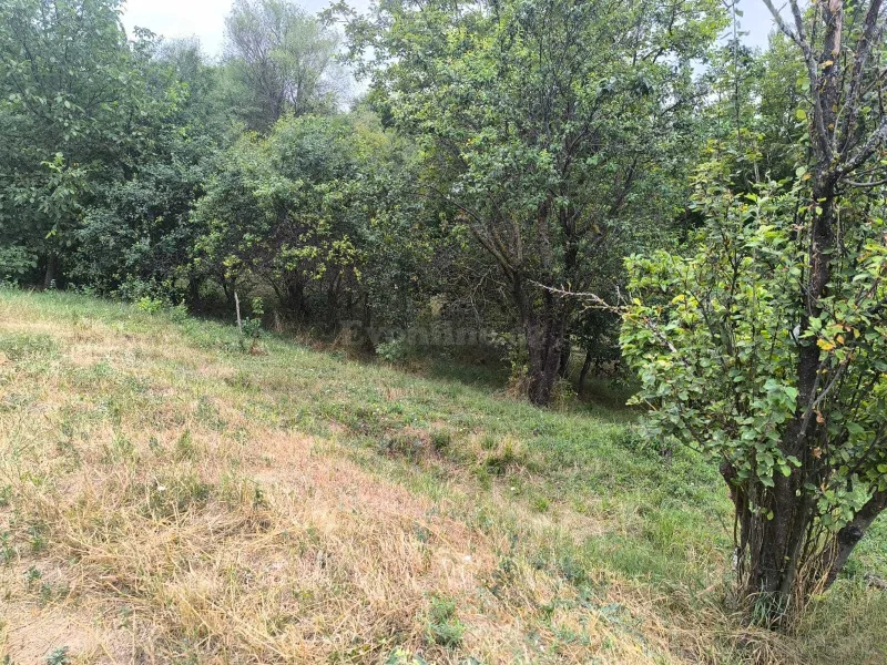 Satılır Torpaq 10 sot Şamaxı - şəkil 3