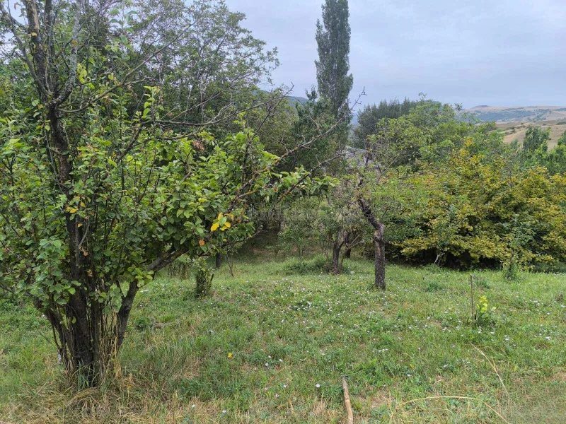 Satılır Torpaq 10 sot Şamaxı - şəkil 4