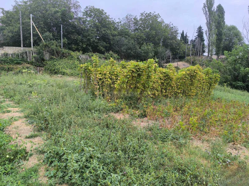 Satılır Torpaq 10 sot Şamaxı - şəkil 5