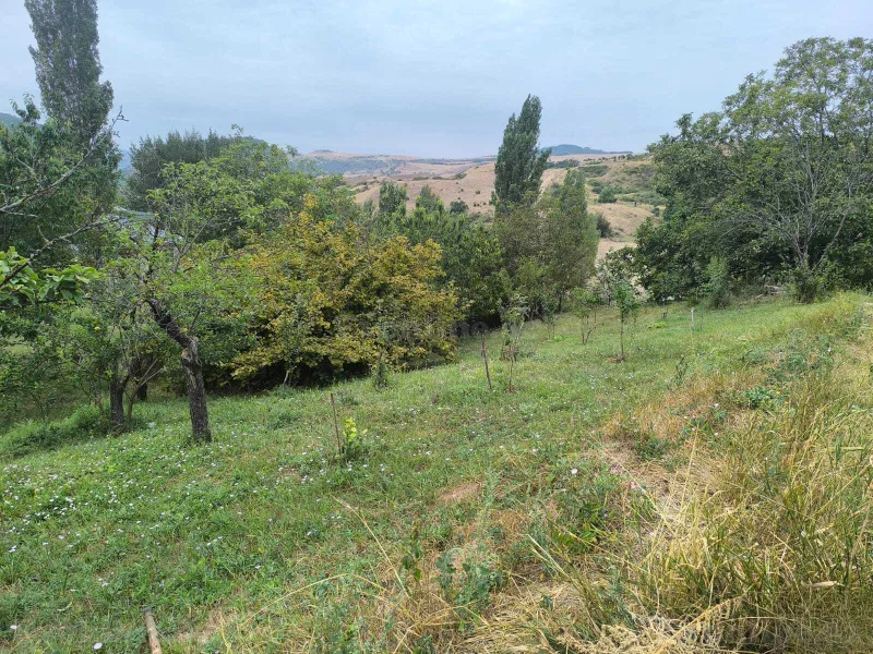Satılır Torpaq 10 sot Şamaxı - şəkil 9