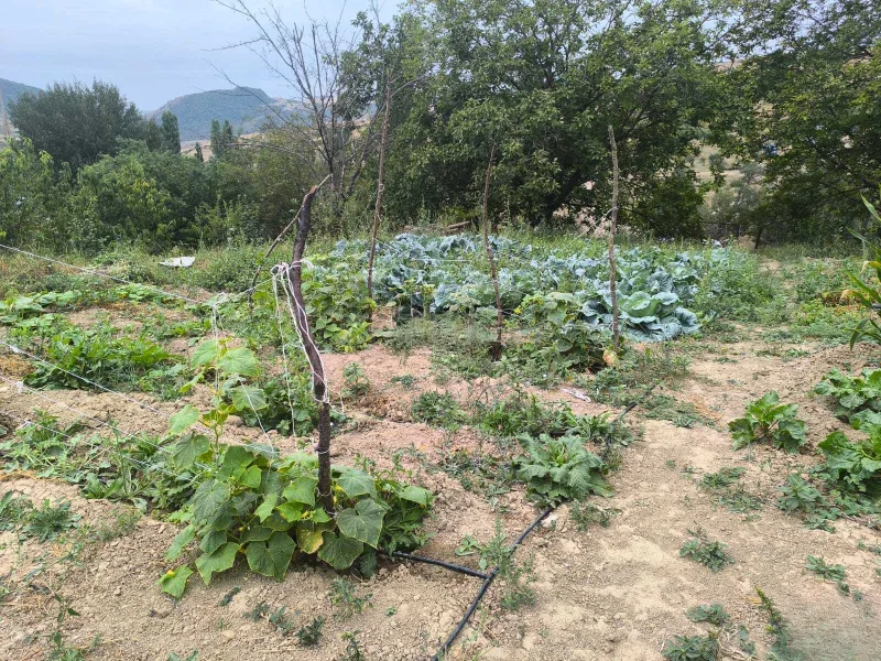 Satılır Torpaq 10 sot Şamaxı - şəkil 11