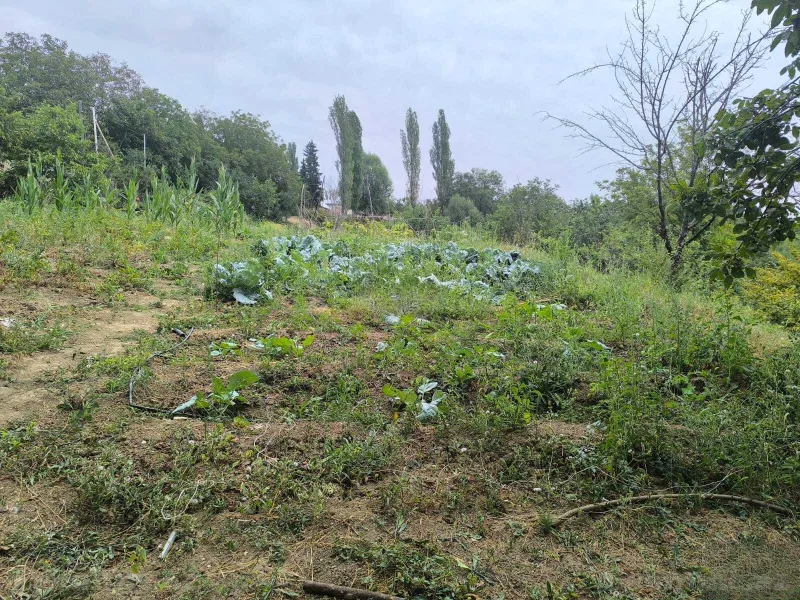 Satılır Torpaq 10 sot Şamaxı - şəkil 14