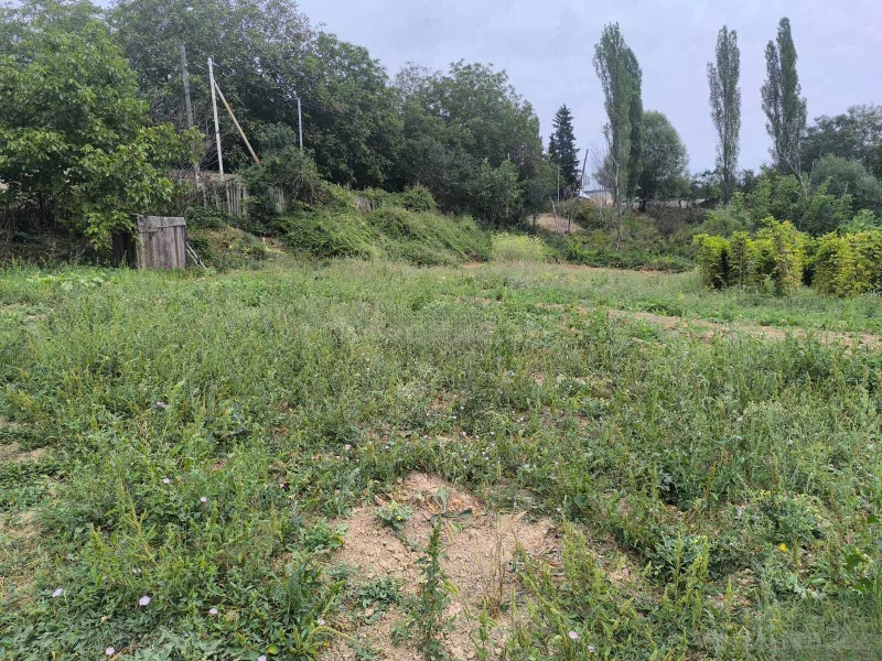 Satılır Torpaq 10 sot Şamaxı - şəkil 15