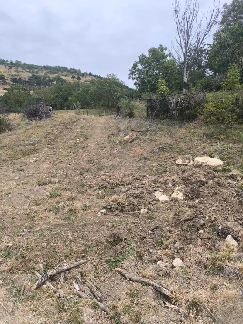 Satılır Torpaq 10 sot Şamaxı - şəkil 17