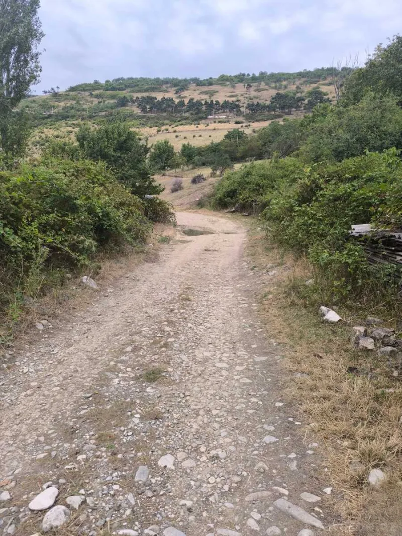 Satılır Torpaq 10 sot Şamaxı - şəkil 18