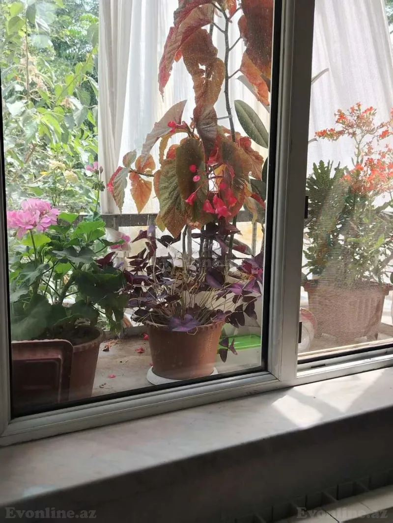 Satılır 3 otaqlı Mənzil Köhnə tikili 55 m² 20 Yanvar m. - şəkil 21