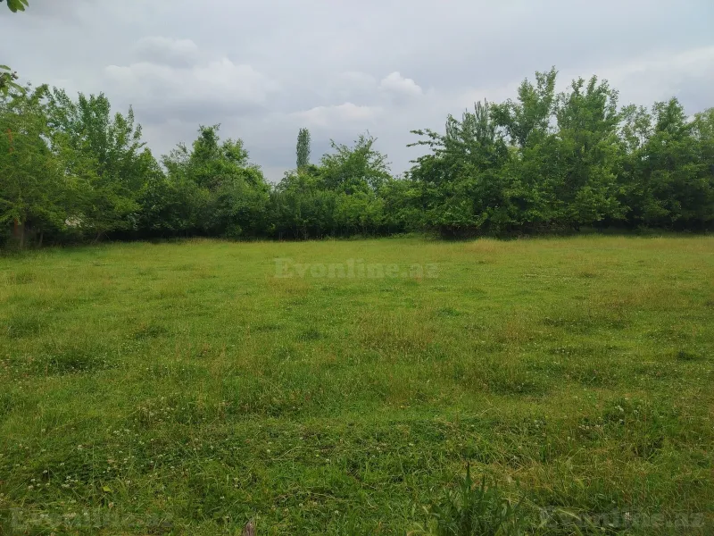 Satılır Torpaq 33 sot Ağdaş - şəkil 11
