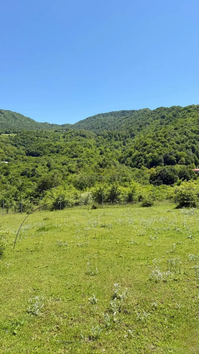 Satılır Torpaq 6 sot Quba - şəkil 3