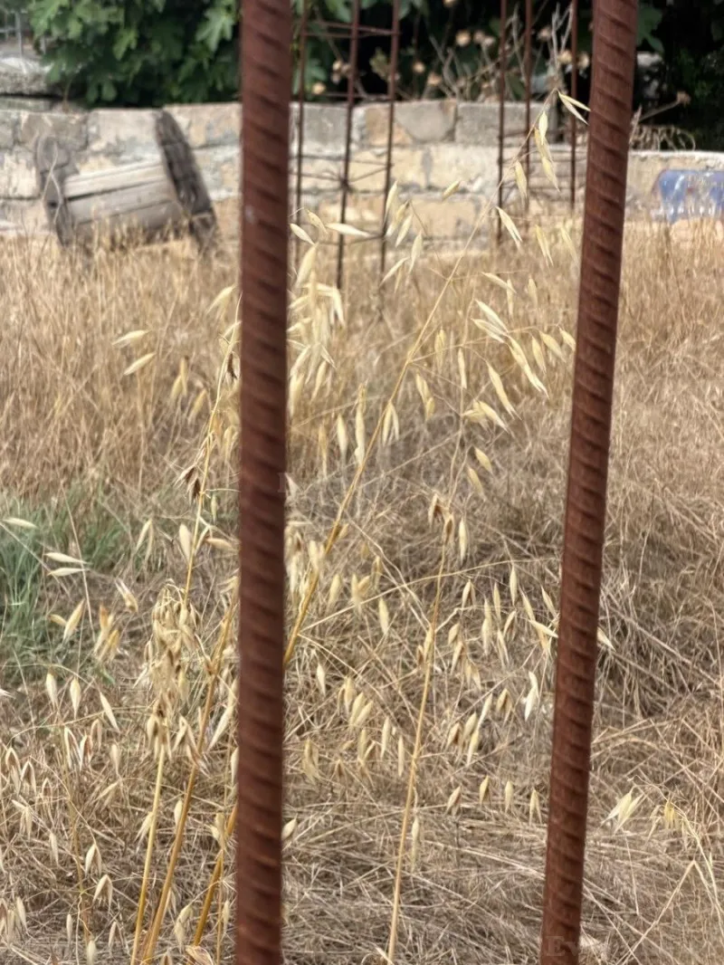 Satılır Obyekt 3000 m² Aşağı Güzdək - şəkil 5