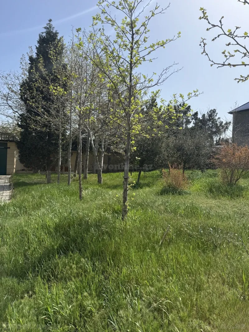 Satılır Torpaq 19 sot Masazır - şəkil 6
