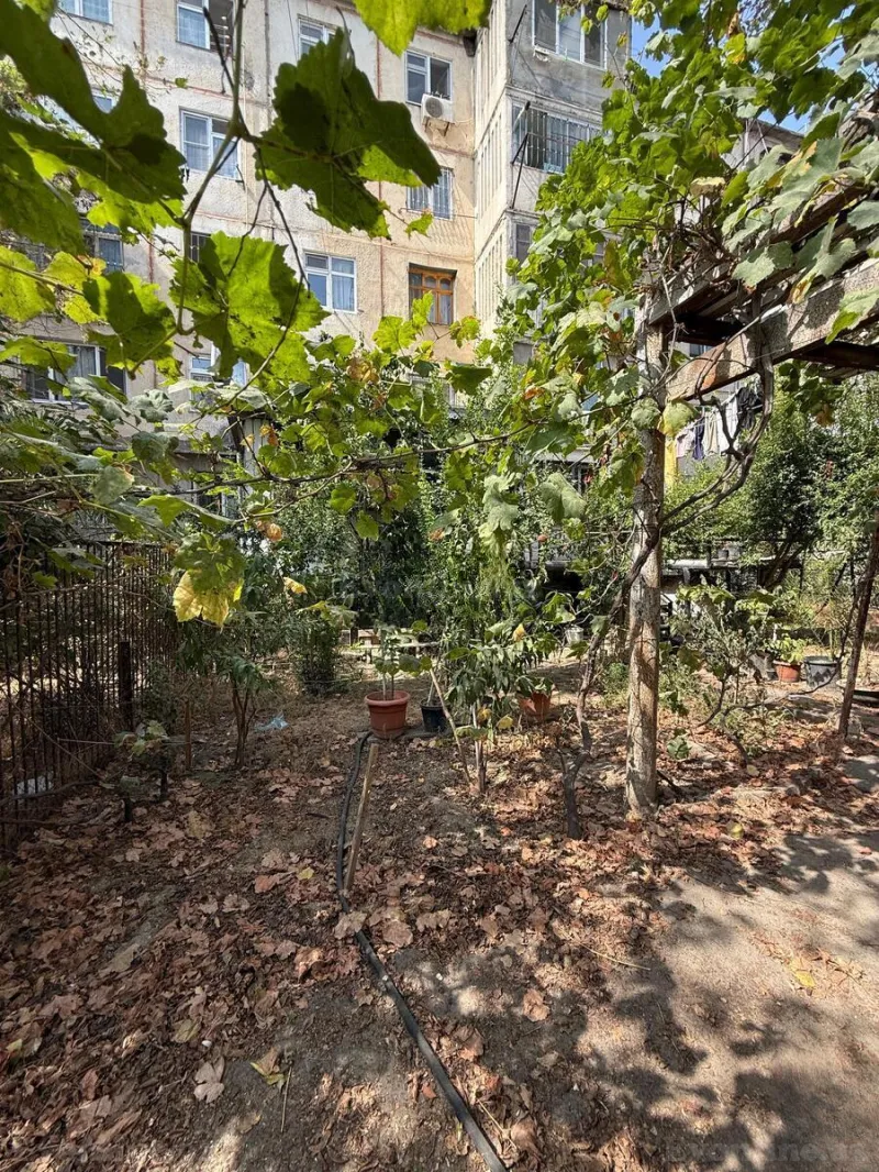 Satılır 5 otaqlı Mənzil Köhnə tikili 100 m² 8-ci kilometr - şəkil 19
