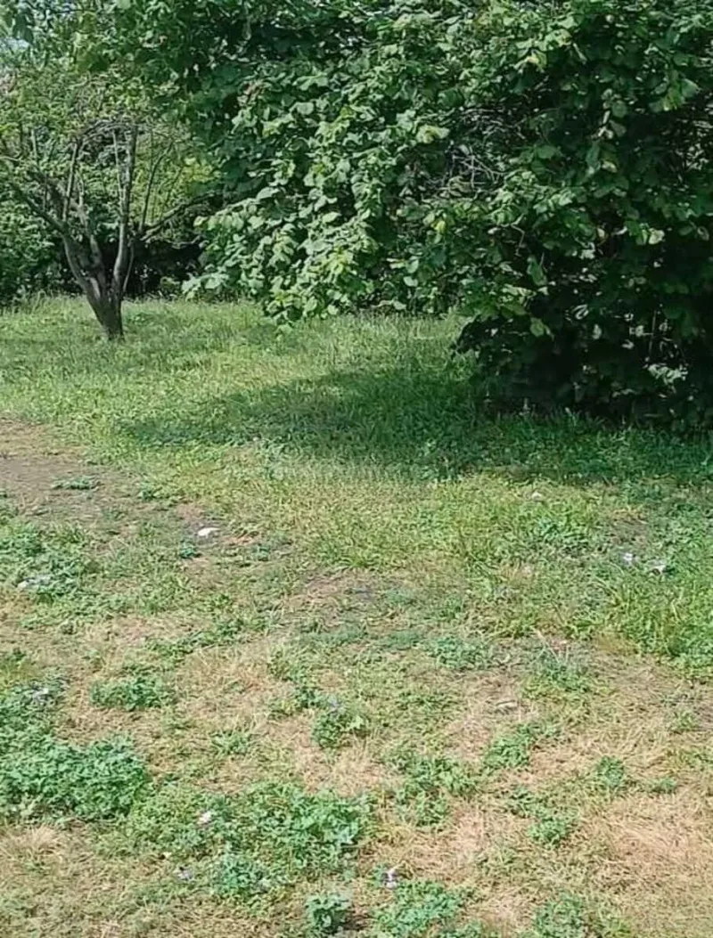 Satılır Torpaq 20 sot Qəbələ