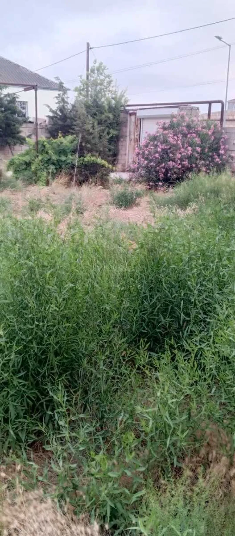 Satılır 5 otaqlı Həyət evi 200 m² Kürdəxanı - şəkil 11
