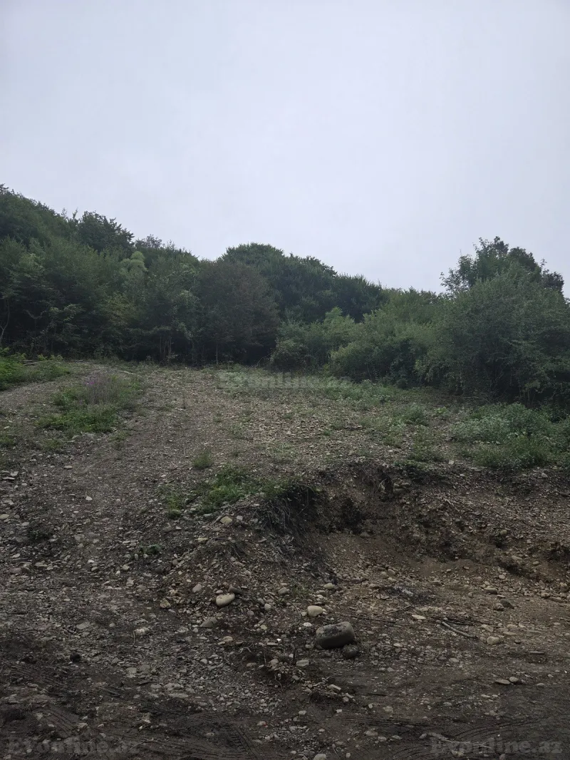 Satılır Torpaq 8 sot Qusar